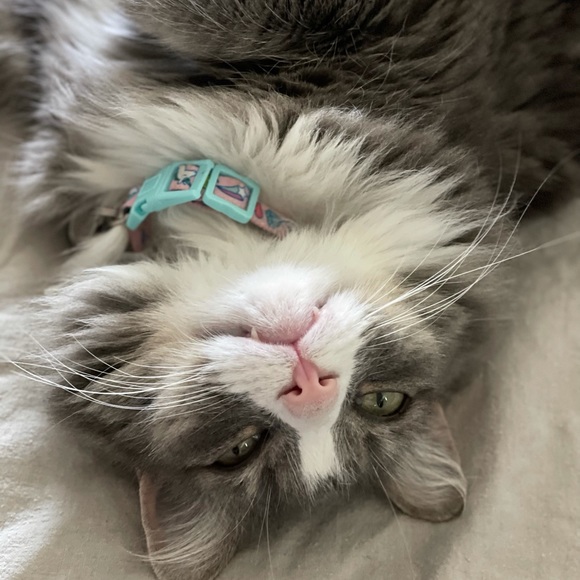 Hi there! I'm Dawn. - Picture 4 of 5